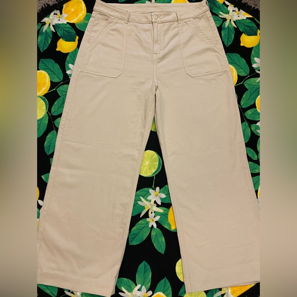 American Eagle Outfitters Dreamy Drape Baggy Wide Leg High Rise Pants sz 16 - Picture 2 of 9
